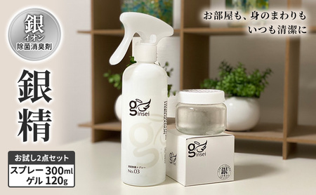 銀イオン除菌消臭剤【銀精】スプレータイプ300ml・ゲルタイプ120gお試し2点セット 無香料 ノンアルコール