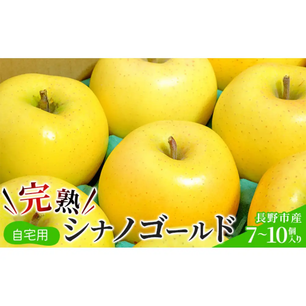 2026年産 ご自宅用　完熟シナノゴールド 7-10個入り 果物 りんご フルーツ デザート 食後 長野りんご 信州りんご ジューシー 生産者直送 | りんご 完熟 シナノゴールド ご自宅用 訳あり 生産者直送 糖度 人気 おすすめ フルーツ 果物 デザート 旬 希少 長野県 長野市 信州 信濃 ふるさと納税