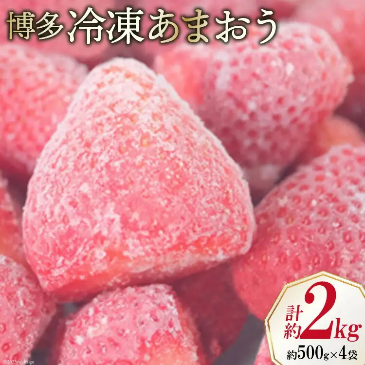 いちご 博多 冷凍あまおう 約500g×4袋 計約2kg [エイチアンドフューチャーズ 福岡県 筑紫野市 21760521]