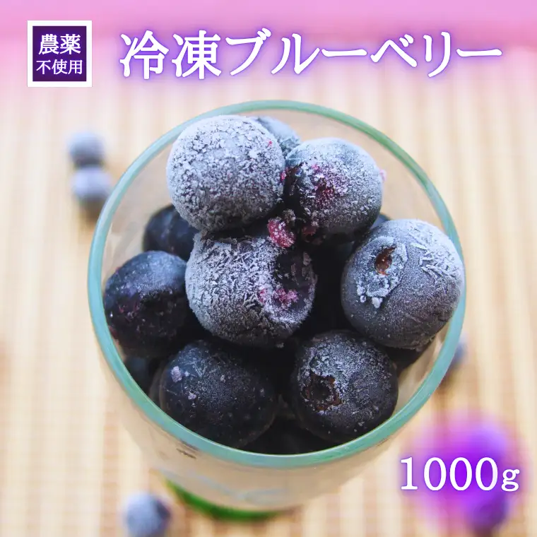 シルクファーム産　冷凍ブルーベリー1000g（500g×2パック）