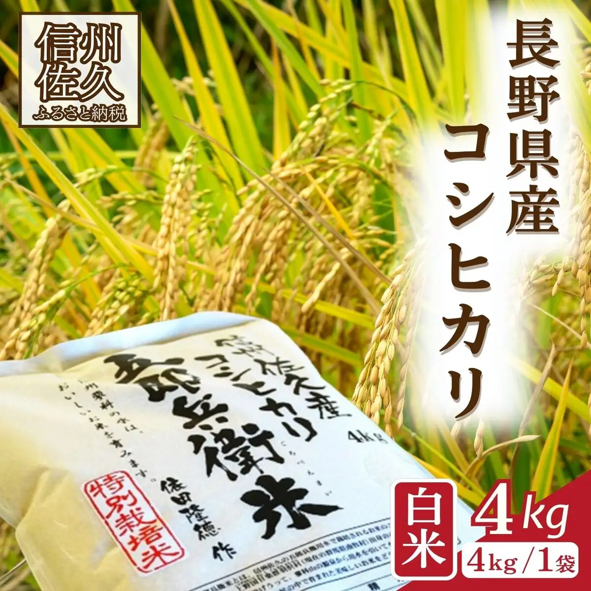 【令和8年産・白米4kg】 特別栽培米　五郎兵衛米 〈2026年10月中旬頃～順次発送〉 先行予約　新米　信州　こしひかり【 米 コメ 白米 精米 お米 こめ おこめ 予約 備蓄品 コシヒカリ 長野県 佐久市 】