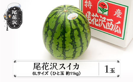 尾花沢スイカ 6Lサイズ(約11kg)×1玉 令和8年産 ns-su6xx1