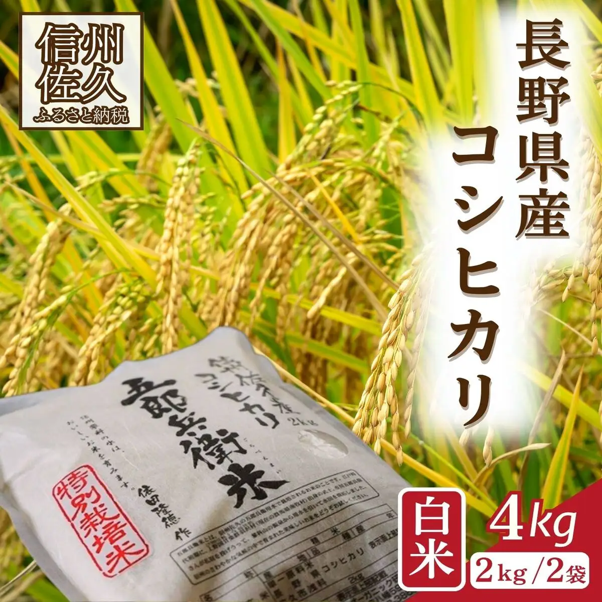 【令和8年産・白米4kg（2kg×2袋）】 特別栽培米　五郎兵衛米 〈2026年10月中旬頃～順次発送〉 先行予約　新米　信州　こしひかり【 米 コメ 白米 精米 お米 こめ おこめ 予約 備蓄品 コシヒカリ 長野県 佐久市 】