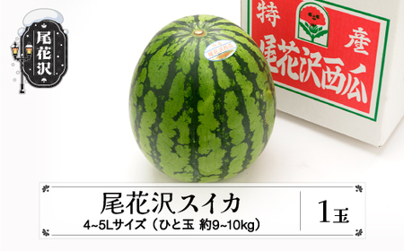 尾花沢スイカ 4~5Lサイズ(約9~10kg)×1玉 令和8年産 ns-su45x1