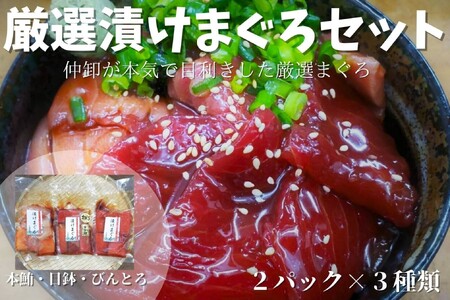厳選漬け まぐろ セット M078-002 冷凍 マグロ