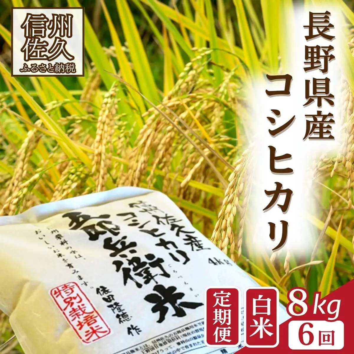 【令和8年産・白米8kg×6カ月定期便】特別栽培米　五郎兵衛米 〈2026年10月中旬頃～順次発送〉 先行予約　新米　信州　こしひかり【 米 コメ 白米 精米 お米 こめ おこめ 予約 備蓄品 コシヒカリ 長野県 佐久市 】
