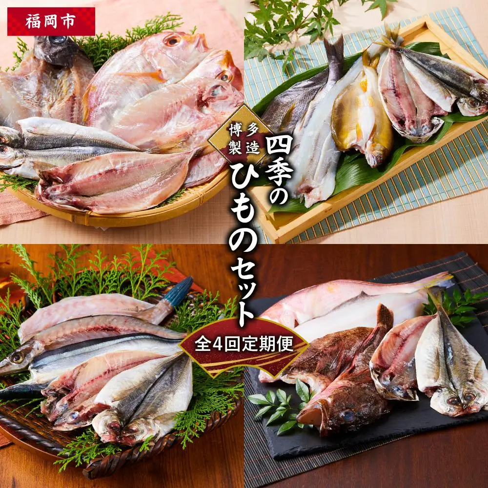 博多製造 四季のひものセット（全4回定期便） | 干物 定期便 おすすめ 人気 福岡市 お取り寄せ 取り寄せ グルメ