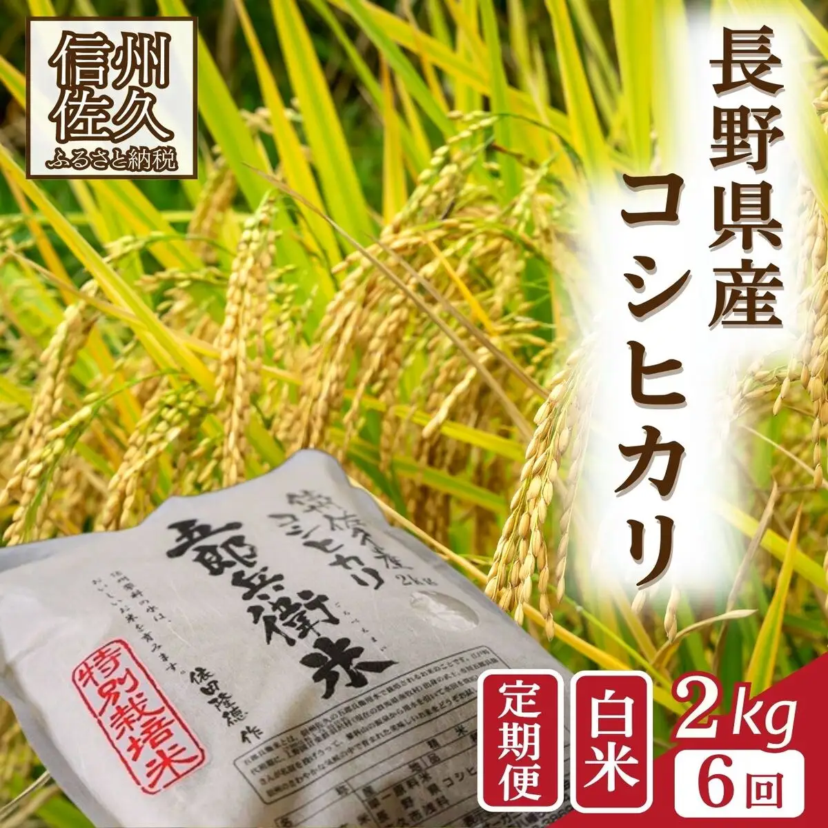 【令和8年産・白米2kg×6カ月定期便】特別栽培米　五郎兵衛米 〈2026年10月中旬頃～順次発送〉 先行予約　新米　信州　こしひかり【 米 コメ 白米 精米 お米 こめ おこめ 予約 備蓄品 コシヒカリ 長野県 佐久市 】