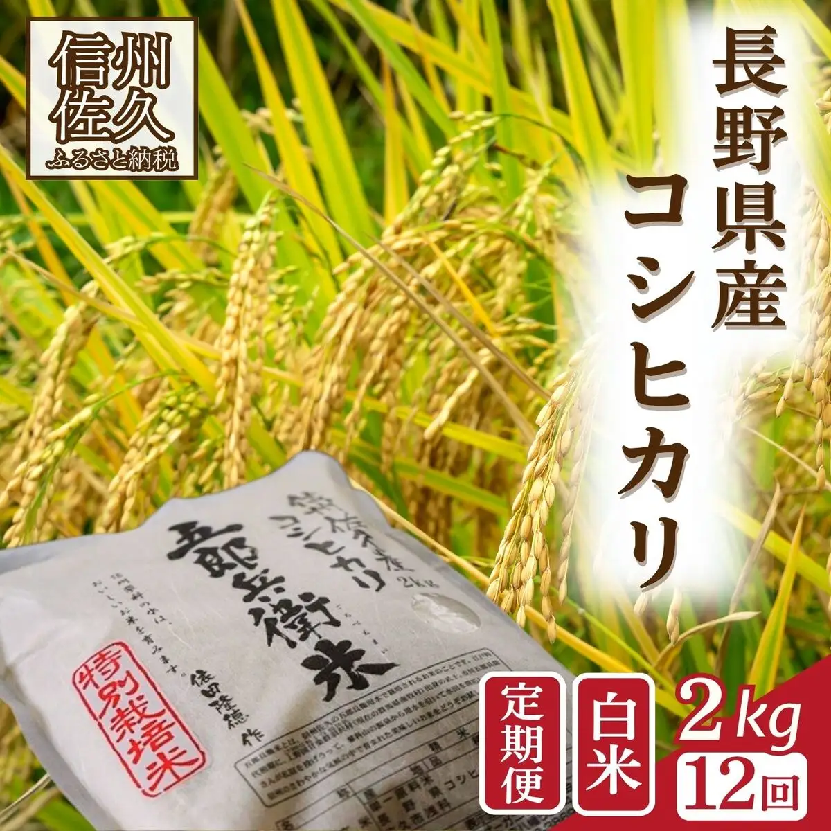 【令和8年産・白米2kg×12カ月定期便】特別栽培米　五郎兵衛米 〈2026年10月中旬頃～順次発送〉 先行予約　新米　信州　こしひかり【 米 コメ 白米 精米 お米 こめ おこめ 予約 備蓄品 コシヒカリ 長野県 佐久市 】