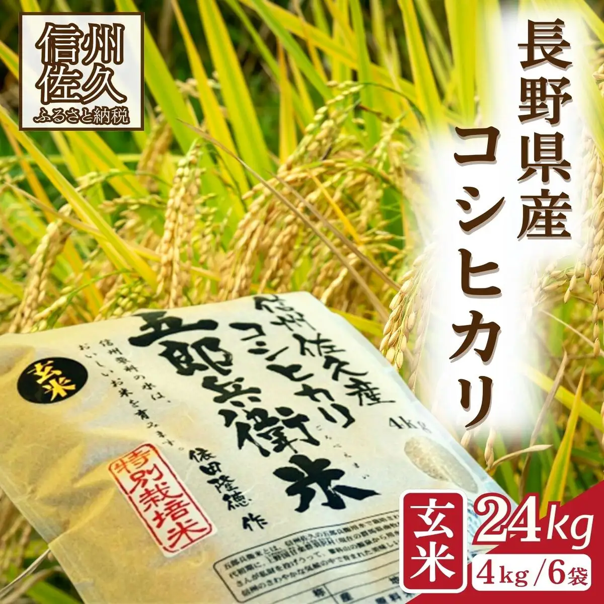 【令和8年産・玄米24kg（4kg×6袋）】特別栽培米　五郎兵衛米 〈2026年10月中旬頃～順次発送〉 先行予約　新米　信州　こしひかり【 米 コメ 玄米 お米 こめ おこめ 予約 備蓄品 コシヒカリ 長野県 佐久市 】