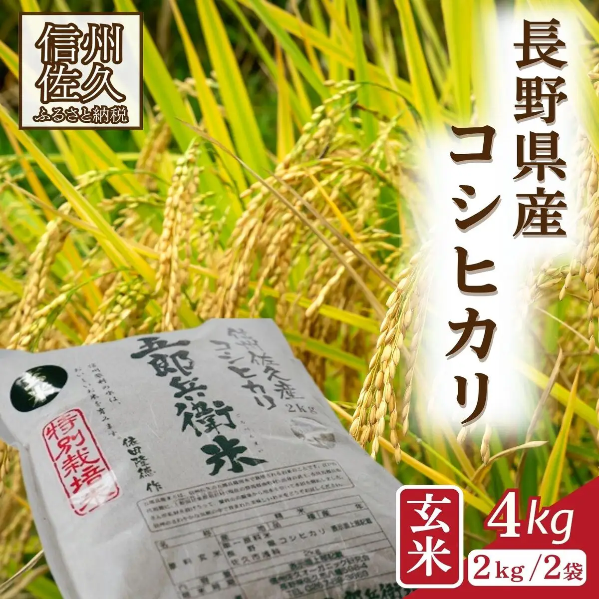【令和8年産・玄米4kg（2kg×2袋）】特別栽培米　五郎兵衛米 〈2026年10月中旬頃～順次発送〉 先行予約　新米　信州　こしひかり【 米 コメ 玄米 お米 こめ おこめ 予約 備蓄品 コシヒカリ 長野県 佐久市 】