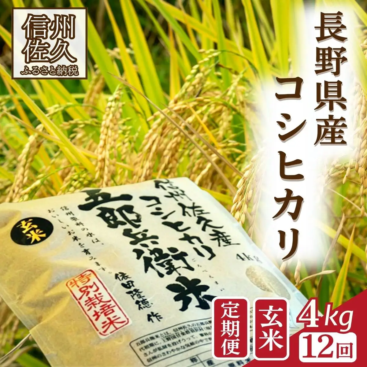 【令和8年産・玄米4kg×12カ月定期便】特別栽培米　五郎兵衛米 〈2026年10月中旬頃～順次発送〉 先行予約　新米　信州　こしひかり【 米 コメ 玄米 お米 こめ おこめ 予約 備蓄品 コシヒカリ 長野県 佐久市 】