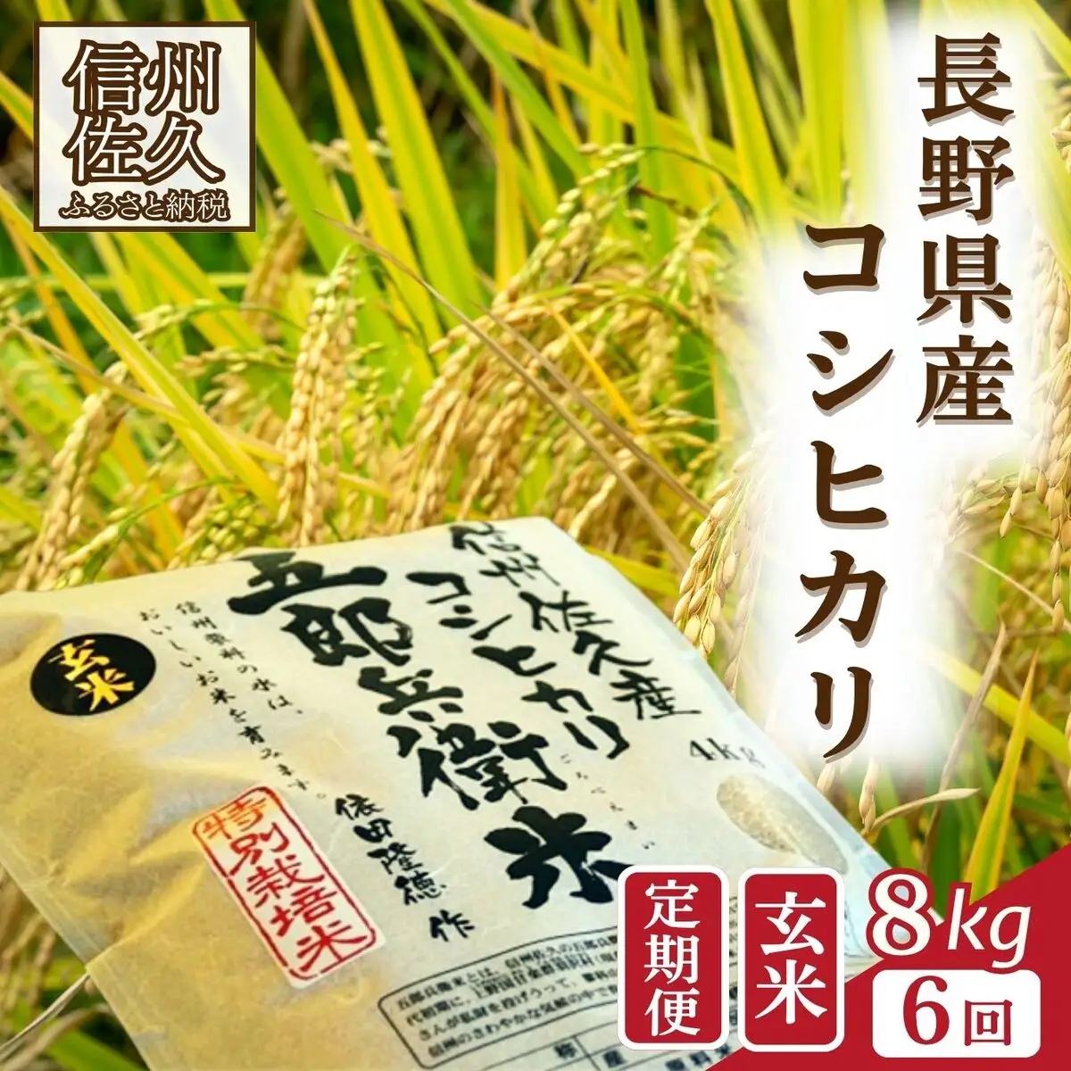 【令和8年産・玄米8kg×6カ月定期便】特別栽培米　五郎兵衛米 〈2026年10月中旬頃～順次発送〉 先行予約　新米　信州　こしひかり【 米 コメ 玄米 お米 こめ おこめ 予約 備蓄品 コシヒカリ 長野県 佐久市 】