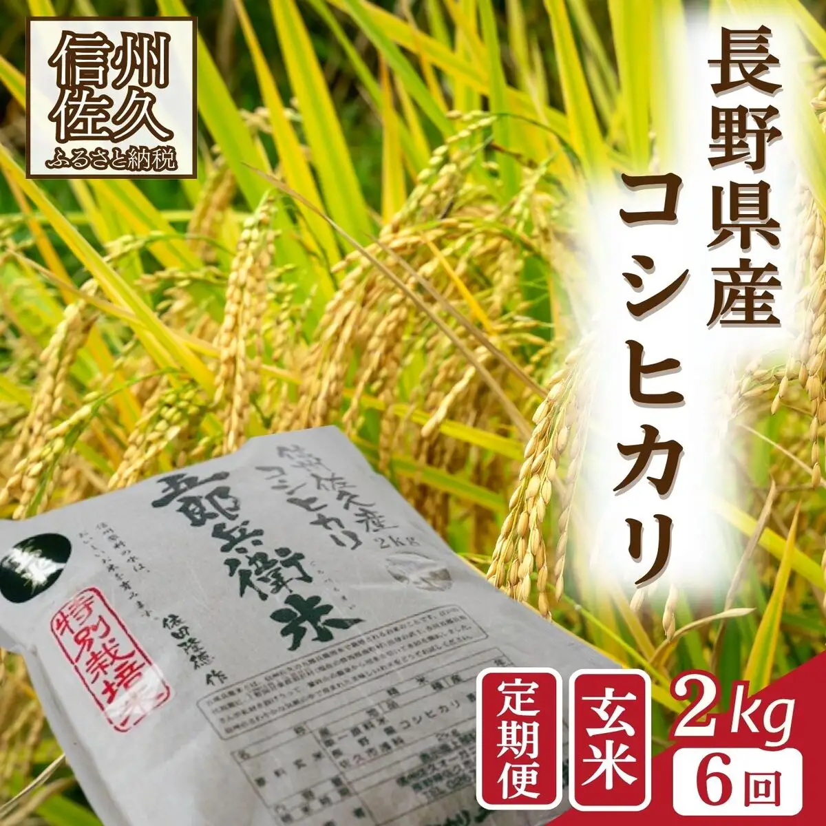 【令和8年産・玄米2kg×6カ月定期便】特別栽培米　五郎兵衛米 〈2026年10月中旬頃～順次発送〉  先行予約　新米　信州　こしひかり【 米 コメ 玄米 お米 こめ おこめ 予約 備蓄品 コシヒカリ 長野県 佐久市 】