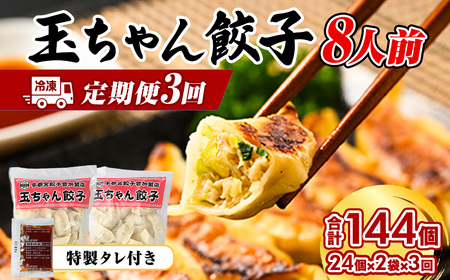23-5【定期便3回】玉ちゃん餃子8人前（24個×2袋) | 餃子 ぎょうざ ギョウザ ギョーザ おつまみ おかず 惣菜 中華 点心 冷凍 国産 ※着日指定不可