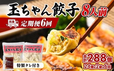 45-1【定期便6回】玉ちゃん餃子8人前（24個×2袋) | 餃子 ぎょうざ ギョウザ ギョーザ おつまみ おかず 惣菜 中華 点心 冷凍 国産 ※着日指定不可