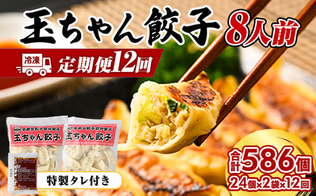 90-1【定期便12回】玉ちゃん餃子8人前（24個×2袋) | 餃子 ぎょうざ ギョウザ ギョーザ おつまみ おかず 惣菜 中華 点心 冷凍 国産 ※着日指定不可