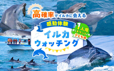 南島原 イルカウォッチング  子ども用 1人用 チケット / チケット ちけっと 体験型 観光チケット いるか イルカ イルカ体験 貸し切り いるか イルカ / 南島原市 / 南島原イルカウォッチング [SAE003]