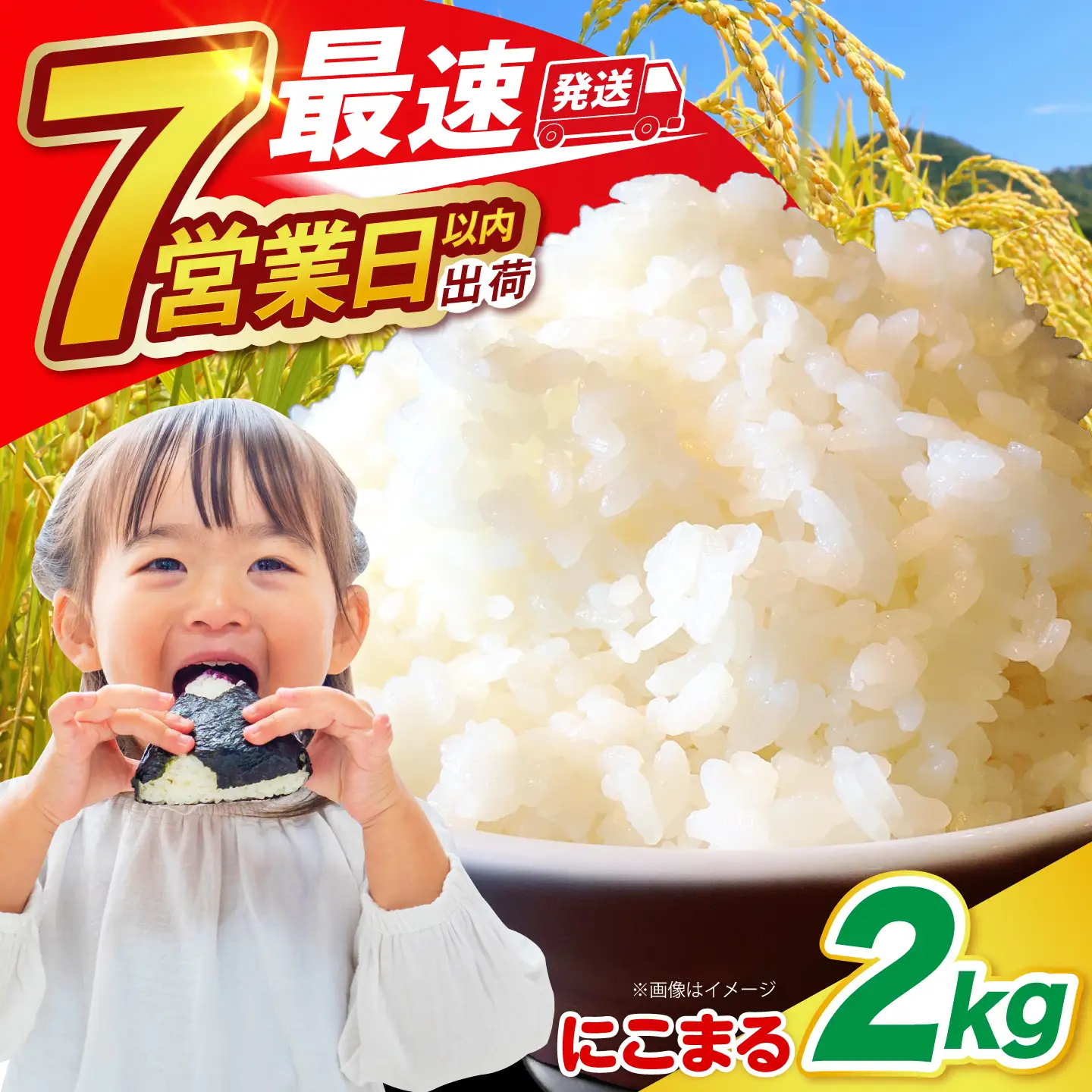 長崎県産 精米 にこまる 2kg / ふっくら 笑顔 お米 米 / 南島原市 / 大松屋商店 [SDR009]