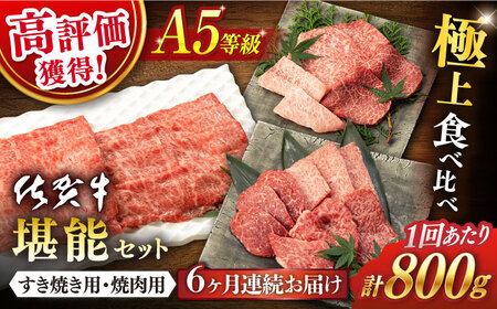 【定期便】 佐賀牛 堪能セット 計4.8kg NAB096 牛肉 全6回