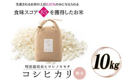 特別栽培米 コシヒカリ ヒロシノキモチ 精米 10kg ブランド米 銘柄米 国産 米 お米 日本米 ギフト 贈り物 備蓄 防災 食品 陽咲玲 はるざれ F6T-918