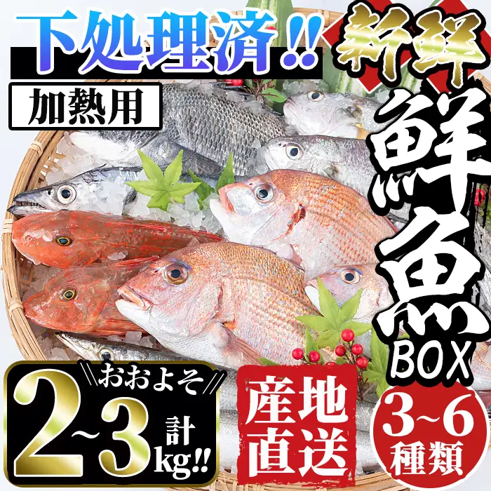 i861 ＜下処理済・加熱用＞おまかせ鮮魚BOX(約2～3kg程度・3～6種類)  魚 鮮魚 下処理済み 鹿児島県 出水近海 煮付 料理 旬 何が届くかはお楽しみ【出水はやし】