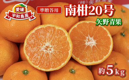 準 贈答用 みかん 南柑20号 5kg 矢野青果 温州みかん 柑橘 温州 うんしゅう 果物 くだもの フルーツ 濃厚 甘い 甘味 蜜柑 準贈答用 贈答品 贈答 ギフト プレゼント 産地直送 農家直送 数量限定 国産 愛媛 宇和島 B012-171005