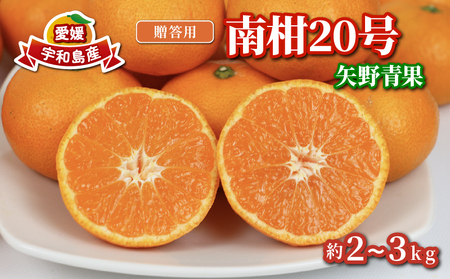 【温州】 南柑20号 2 ~ 3kg 矢野青果 温州 B012-171006