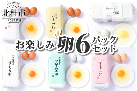 中村農場　お楽しみたまご６パックセット 卵 10個入り 6パック セット おまかせ卵 3～4種類 食べ比べ おまかせセット 中村農場 山梨県 北杜市 [h024]