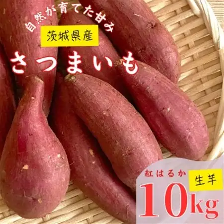 【茨城県産】生さつまいも 紅はるか 10Kg_野菜 さつまいも いも サツマイモ 薩摩芋_【1437617】