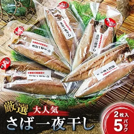 厳選!大人気さば一夜干し_魚介・海産物   _【配送不可地域：離島】【1438801】