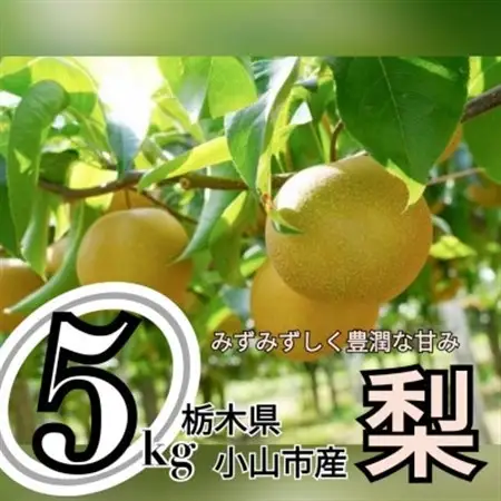 ずっしり5kg【にっこり】　栃木県小山市産の梨　【1441930】