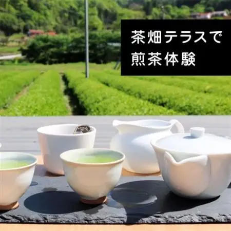 【参加チケット】茶畑を一望するお茶農家のテラスで煎茶体験＆飲み比べ【1442288】