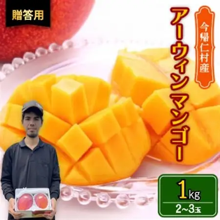 【2026年6月から順次発送・贈答用】仲本マンゴー園のアーウィンマンゴー1kg(2～3玉)【配送不可地域：離島】【1439419】