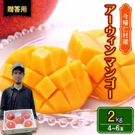 【2026年6月から順次発送・贈答用】仲本マンゴー園のアーウィンマンゴー2kg(4～6玉)【配送不可地域：離島】【1439421】