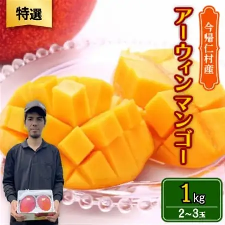 【2026年6月から順次発送・特選】仲本マンゴー園のアーウィンマンゴー1kg(2～3玉)【配送不可地域：離島】【1439428】