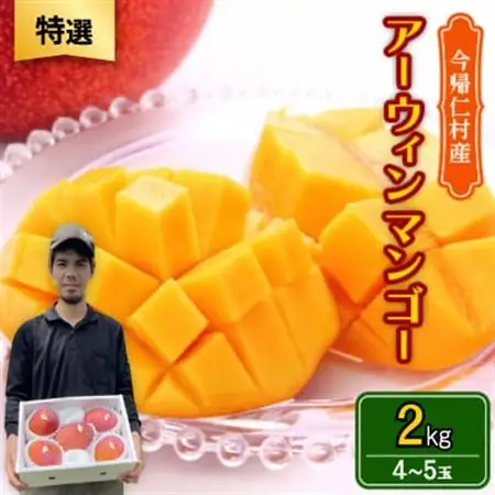 【2026年6月から順次発送・特選】仲本マンゴー園のアーウィンマンゴー2kg(4～5玉)【配送不可地域：離島】【1439441】