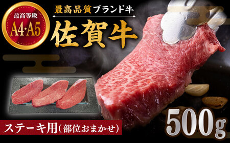 佐賀牛 おまかせ ステーキ 500g / ステーキ [IAX035]
