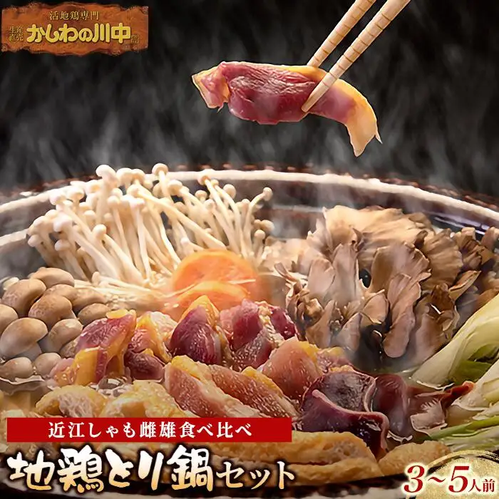 【かしわの川中】超新鮮＆美味！地鶏とり鍋セット 近江しゃも雌雄食べ比べ 計約800g（3〜5人用）[G007]/ しゃも