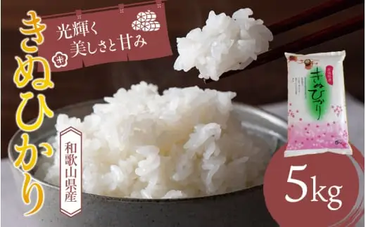 和歌山県産 キヌヒカリ 5kg(2025年産)  産地直送 米 こめ ご飯 ごはん 【sml400-kinu-5D】