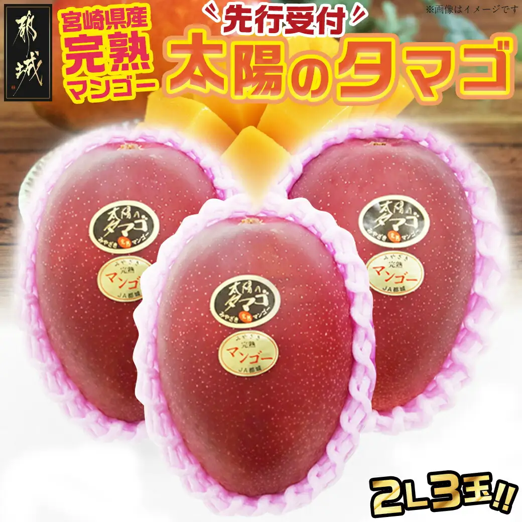【先行受付!】宮崎県産完熟マンゴー 太陽のタマゴ【2L×3玉】化粧箱入り≪2026年5月中旬以降順次お届け≫_AF-0116