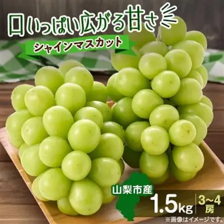 【2026年発送】やみつきシャインマスカット 1.5kg(3～4房)【配送不可地域：離島】【1304377】
