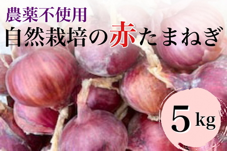 赤たまねぎ 5kg かたもとオーガニックファーム たまねぎ