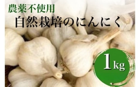 にんにく 1kg かたもとオーガニックファーム にんにく