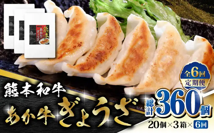 【全6回定期便】熊本和牛 あか牛ぎょうざ 20個×3箱【有限会社 三協畜産】 国産  餃子 ぎょうざ ギョウザ [ZEB077]