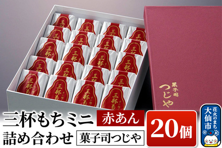 三杯もちミニ(赤あん)  20個 詰め合わせ 【菓子司つじや】