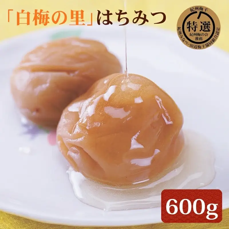 特選　紀州南高梅「白梅の里」はちみつ　600g　sekifz026B【sekifz026B】