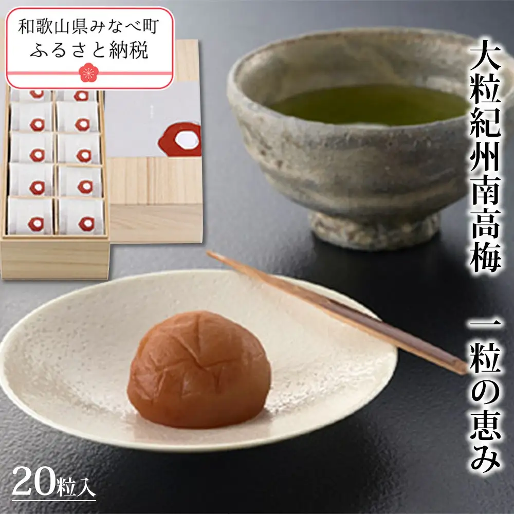 一粒の恵み kishusogo009【kishusogo009】