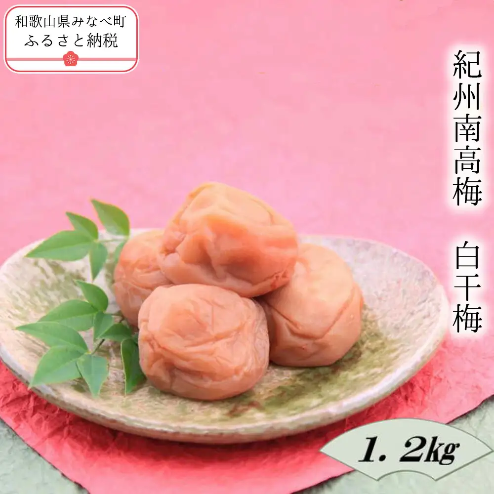 紀州南高梅　白干梅 1.2kg　yplu014B【yplu014B】
