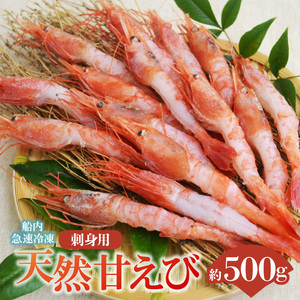 兵庫県産 天然 甘エビ 刺身用 15尾×2パック（1パック15尾入り）海老 えび 10-12